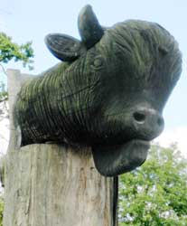 Wisent