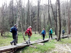 Wanderung mit Wolfgang Pagel