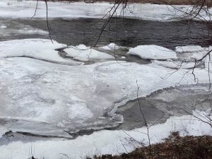 Das große Tauen im Flöhatal