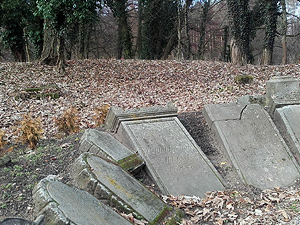 Lapidarium Zanzhausen. Hier befand sich der deutsche, evangelische Friedhof Zanzhausen. Das Lapidarium wurde 2006 durch Bürger von Santoszno/Polen 2006 in ehrenamtlicher Arbeit angelegt.