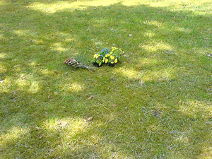 ...wer baute das siebentorige Theben..., Friedhof Stahnsdorf