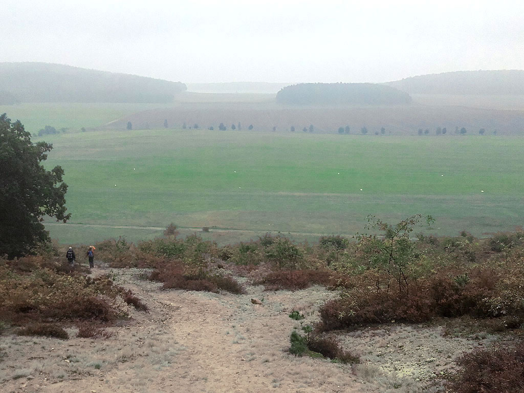 Sanddüne Gollenberg, Weg zum Flugplatz, 24.9.2017