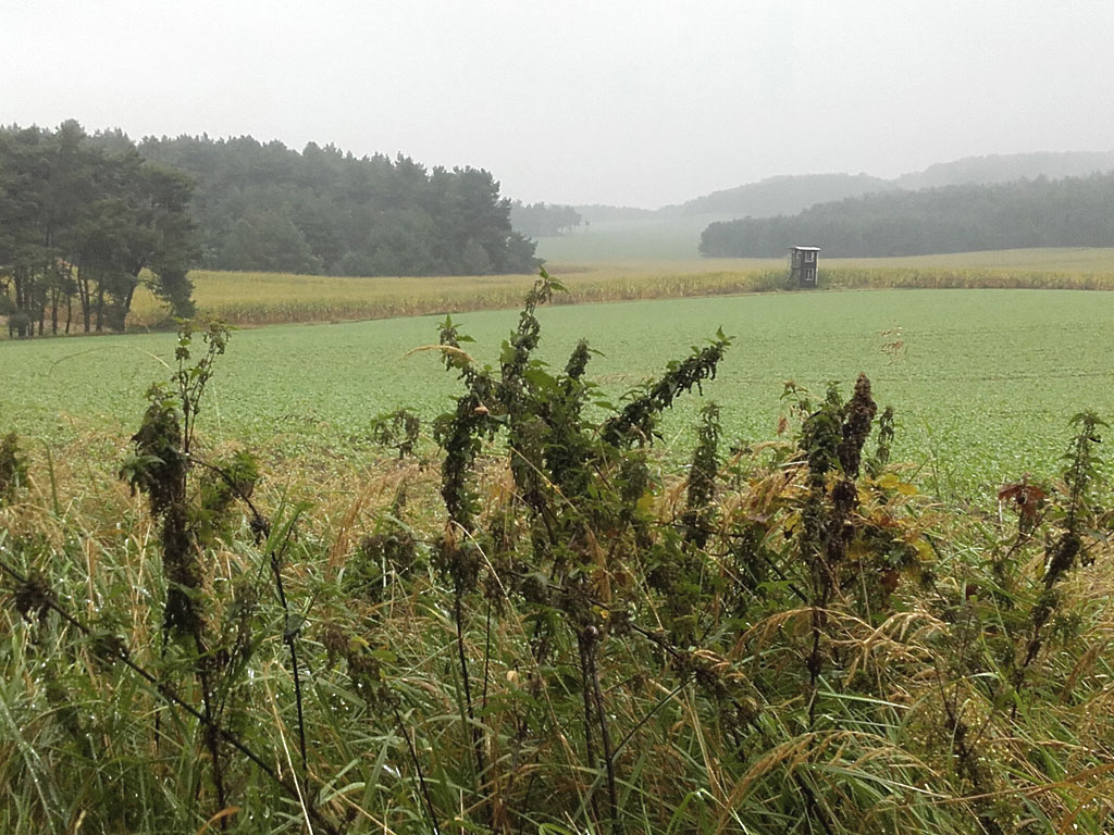 Ländchen Rhinow, 24.9.2017