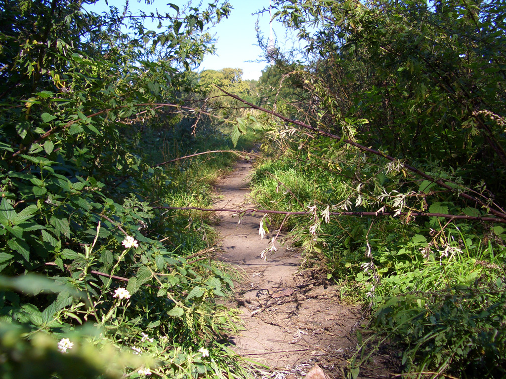 Berliner Mauerstreifen 2006