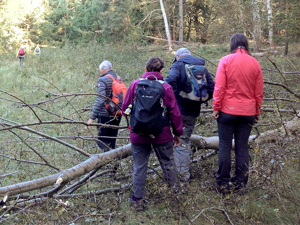 Roofenseewanderung 2017