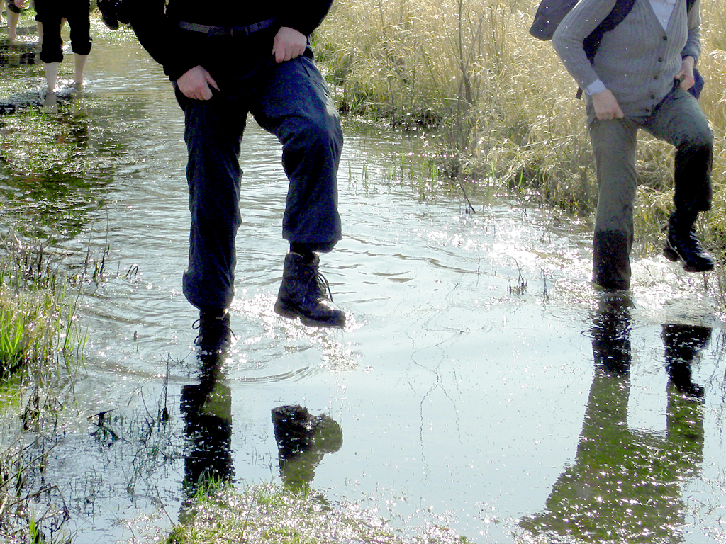 Elbdeich bei Lenzen 2016, Foto W.Pagel