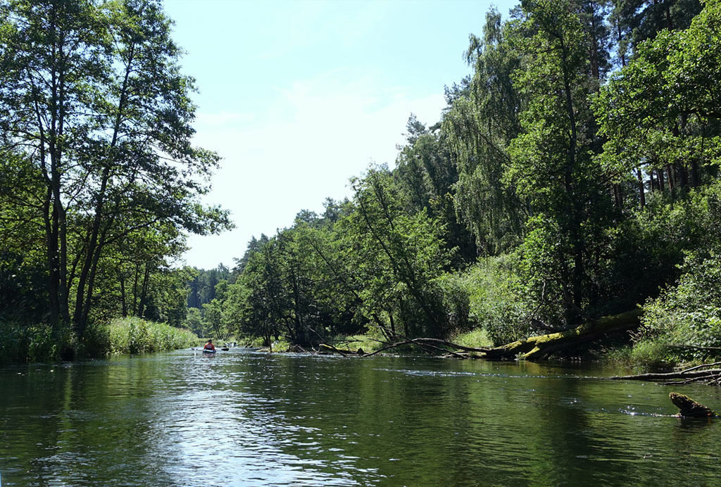 Tucheler Heide, von der Brahe aus