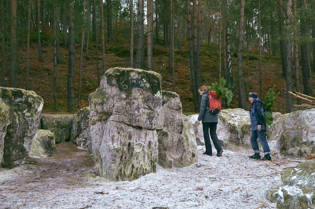 Zum Advent ein Handstrauß ©  W.Pagel 2015