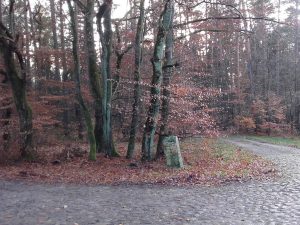 Wegscheide, Möglichkeiten von und nach Bölzke, 23.11.2017