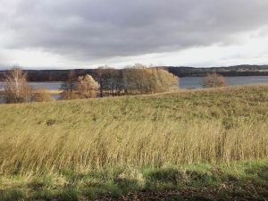 Dunkle Wolken ziehen vorüber