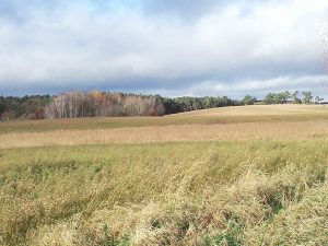 Die Endmoränenlandschaft der Uckermark