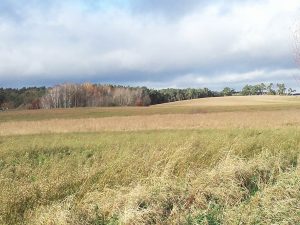 Die Endmoränenlandschaft der Uckermark