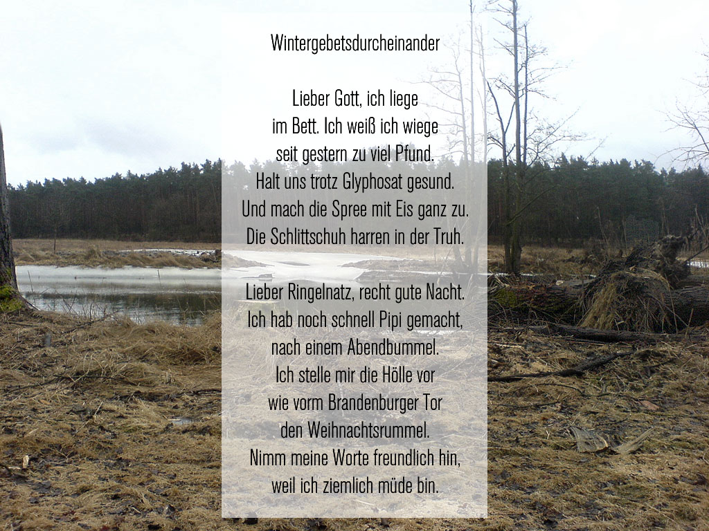 Wintergebetsdurcheinander Lieber Gott, ich liege im Bett. Ich weiß ich wiege seit gestern zu viel Pfund. Halt uns trotz Glyphosat gesund. Und mach die Spree mit Eis ganz zu. Die Schlittschuh harren in der Truh. Lieber Ringelnatz, recht gute Nacht. Ich hab noch schnell Pipi gemacht, nach einem Abendbummel. Ich stelle mir die Hölle vor wie vorm Brandenburger Tor den Weihnachtsrummel. Nimm meine Worte freundlich hin, weil ich ziemlich müde bin.