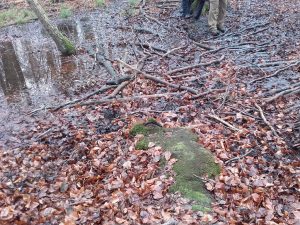 Durch Schlick und Schlamm im Mühlenbecker Land