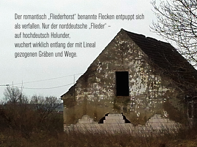 Fliederhorst