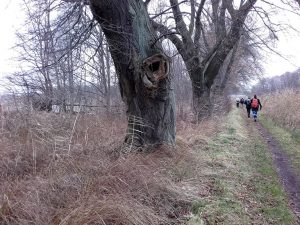 Zwischen Havel und Tonstichen