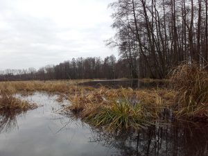 Winterhochwasser