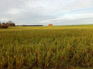 Oehna Richtung Weidmannsruh