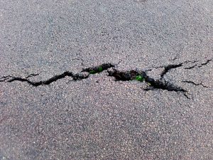 Die Natur wehrt sich, Fläming-Skate-Belag