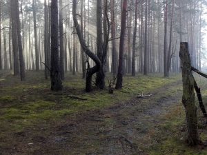 Richtung Pechhüttnerweg