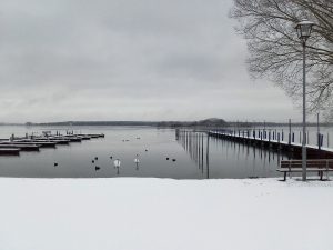 Der Möserscher See am 17.1.2018