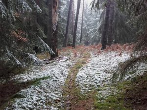 Menschenweg oder...