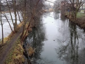 Dammweg zurSchleuse