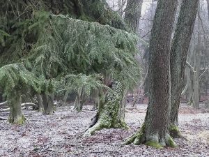 In der Ferne die Wandergruppe