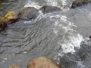 Fischtreppe an der Neuen Mühle