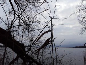 Der Plauer See im Gegenlicht