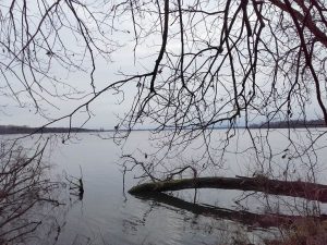 Hoher Wasserstand