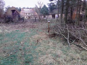 Salzlecke am ehemaligen Gutshaus