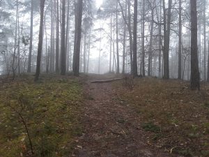 Saarmunder Berg - noch nicht der Gipfel