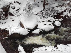 Überlebenskampf gegen Stein und Wasser