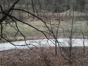 Der Schwarzbach im Sternmühlental