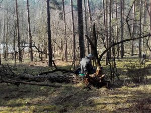 Frühstück im Wald