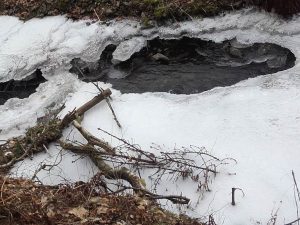 Tiefschwarze Wasserlöcher