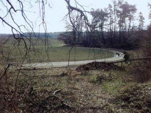 Feldweg an der Waldkante