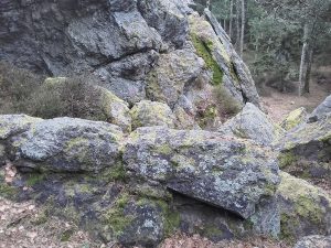 Quarzfelsen im NSG Rommersreuther-Schweiz