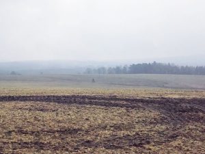 Hinter dem Morgendunst eine Ahnung von gutem Wetter