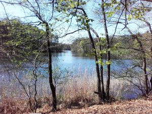 Der Hellsee in voller Schönheit