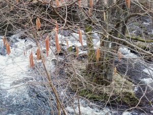 Osterfrühling an der Eger