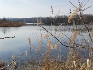 Reservat Naturschutz