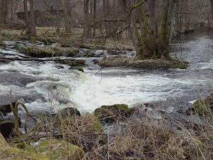 Wildwasser Eger