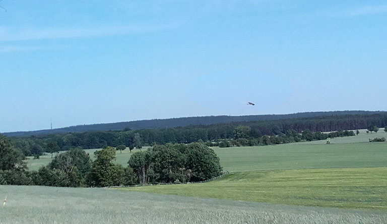 Aussicht vom Mühlenberg Bagow mit Rotmilan