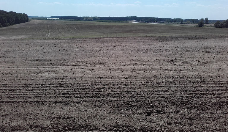 Spargelfelder bis zum Horizont, weitgehend abgeerntet