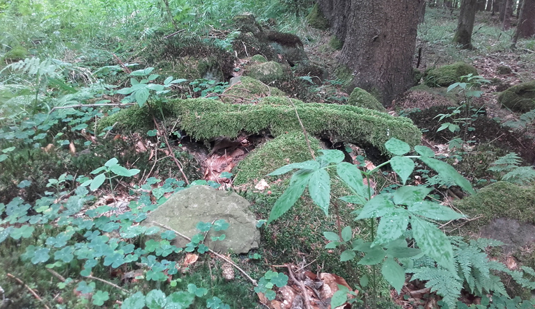 Zonengrenze als grünes, wegeloses Band