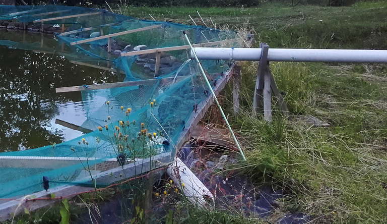 Zum Waschen reicht es - zum Baden reizt es sowieso nicht 