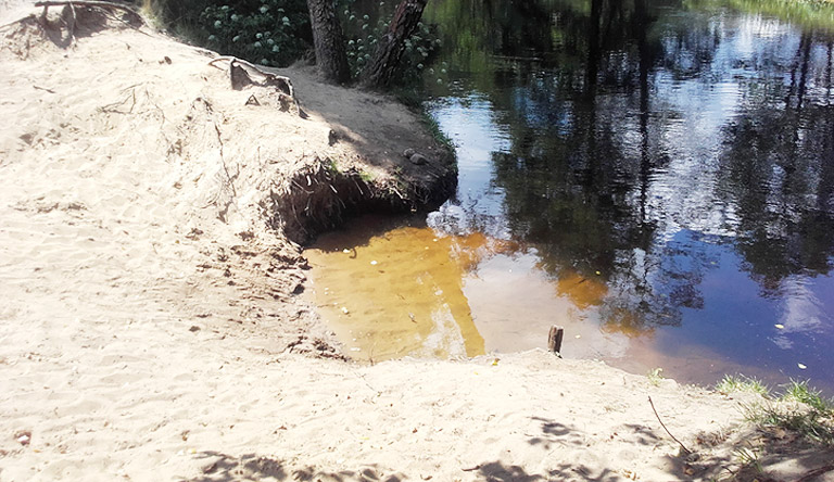 Badestelle an der Wda bei Błędno