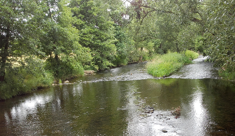 Glasklare Ulster bei Motzlar